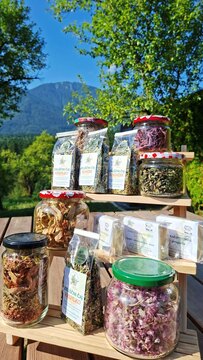 Čajanka na Prežihovi bajti (3)